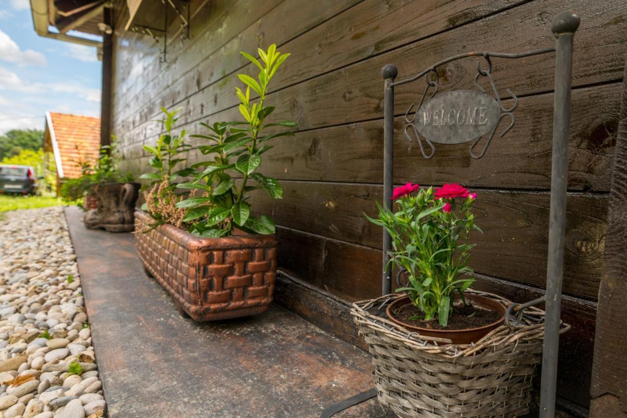 Hygge Hill Vila Krapinske Toplice Exterior foto